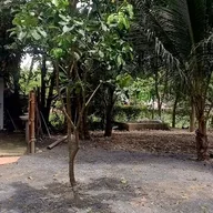 Hải Trịnh - ảnh 1