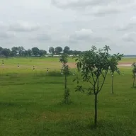 Hải Trịnh - ảnh 4