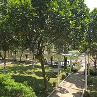 Hoang Chau - ảnh 4