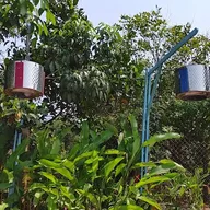 Pham Trung Dung Aiglevn - ảnh 2