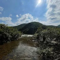 Thai Cuong - ảnh 3