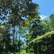 Sunny Nguyen - ảnh 3