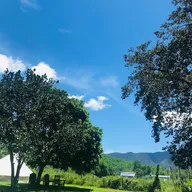 Thị Thu Thúy Phan - ảnh 1