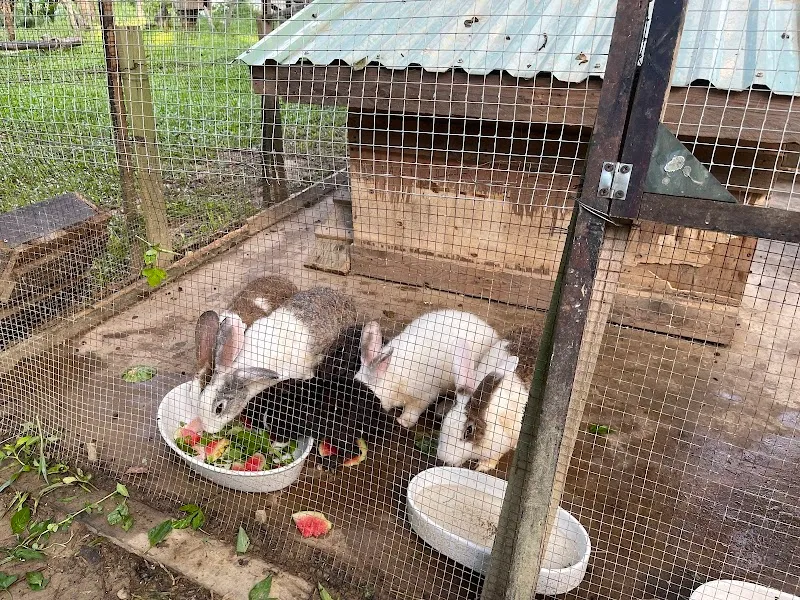 An Nhiên Farm Đà Nẵng