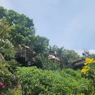 Binh Ton-That - ảnh 3