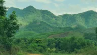 BANA RITA GLAMPING FARM