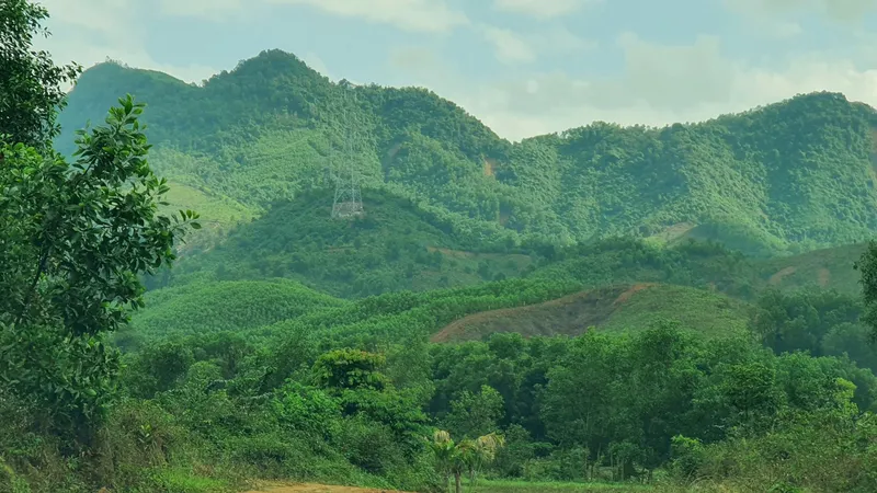 Cắm trại qua đêm (Tour 4)