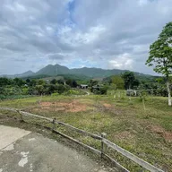 Lê Thị Tường Vi - ảnh 1