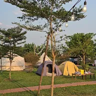 Việt Lê Hoàng - ảnh 2