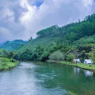 Duong Tran - ảnh 4
