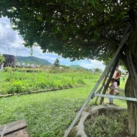 Đông Nguyễn - ảnh 3