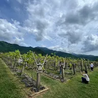 Đông Nguyễn - ảnh 1