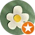 Ксения Олейник