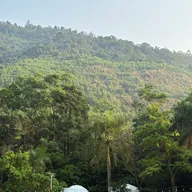 Trần Thanh Tùng - ảnh 2
