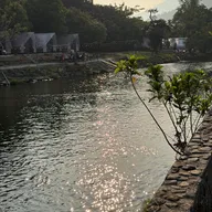 Trần Thanh Tùng - ảnh 1