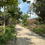 Yến Sào Yến Vàng - ảnh 3