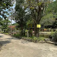 Yến Sào Yến Vàng - ảnh 4